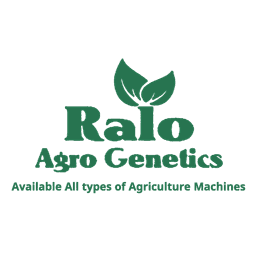 Logo 13