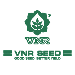 Logo 8
