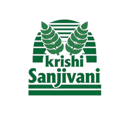 Logo 13